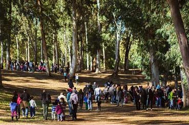 טיול מאורגן לעובדים